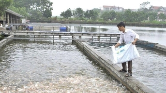 Đổi mới công nghệ, nâng tầm phát triển ngành nuôi trồng thủy sản