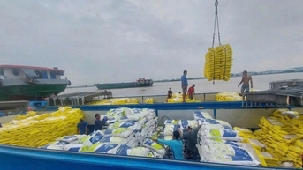 Doanh nghiệp gạo kẹt vốn, nông dân lo thua lỗ vì giá lúa giảm sâu