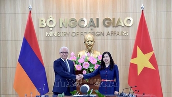 Tham vấn chính trị Việt Nam - Armenia