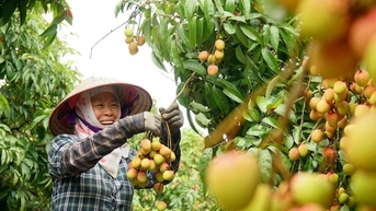 Tài sản hóa sở hữu trí tuệ – bước ngoặt tư duy trong dự luật mới