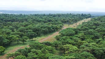 Chuẩn bị đấu thầu dự án sân golf Đak Đoa, khu phức hợp sân golf Ia Hrung