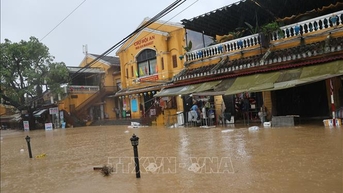 Đà Nẵng gồng mình trước mưa lũ, huy động lực lượng tuyến đầu ứng phó