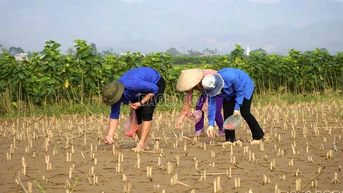 Không để đất ngủ đông