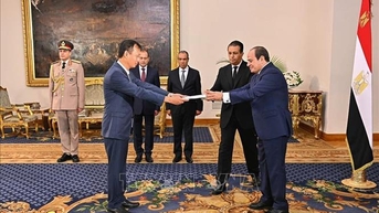 Tăng cường hơn nữa hợp tác trong khuôn khổ Đối tác Toàn diện giữa Việt Nam - Ai Cập