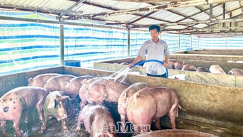 Thầy giáo - nông dân sản xuất giỏi