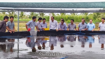 Kinh tế tập thể - Nền tảng phát triển nông nghiệp bền vững