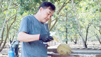 Bàu Hàm phát triển đa dạng mô hình kinh tế nông nghiệp hiệu quả