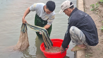 Những đơn vị tiêu biểu phát triển kinh tế tập thể của Hải Phòng