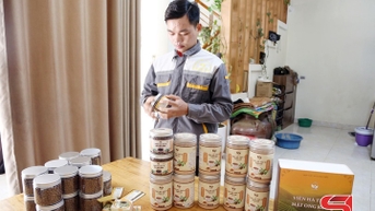 Nhân rộng mô hình HTX nông nghiệp