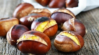 "Vua của các loại hạt" đang vào mùa, rất tốt cho tim mạch