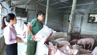 Nông dân Sông Lô thi đua sản xuất, kinh doanh giỏi