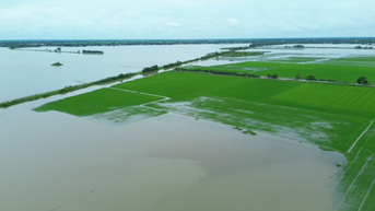 'Căng mình' ứng phó với lũ: Lũ về nhanh đe dọa vùng sản xuất (Bài 1)