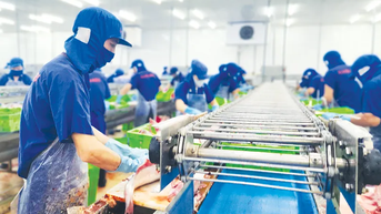 Doanh nghiệp Cần Thơ nỗ lực đóng góp vào tăng trưởng chung