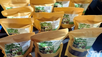 Phát hiện hạt dẻ giả đội lốt đặc sản Ngân Sơn