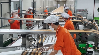 Xuất khẩu, điểm sáng trong bức tranh kinh tế của tỉnh