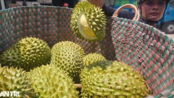 Vụ gần 2.000 container sầu riêng bị ùn ứ: Phòng kiểm nghiệm hoạt động lại