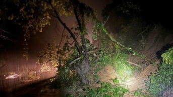 Có 14 điểm sạt lở trên tuyến đường nối Khánh Hòa và Lâm Đồng