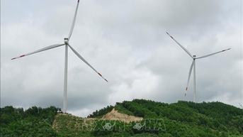 Quảng Trị chấp thuận chủ trương đầu tư 2 dự án điện gió hơn 133 triệu USD