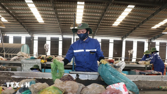 Phân loại rác tại nguồn là giải pháp căn cơ, bảo vệ môi trường bền vững