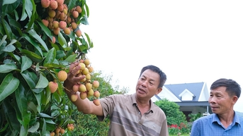 កិច្ចព្រមព្រៀង​ពន្ធ​ទៅវិញទៅមក​ថ្មី៖ តើ​វត្ថុ​ណា​ខ្លះ​មានឱកាស​ទទួលបាន​ពន្ធ 0%?