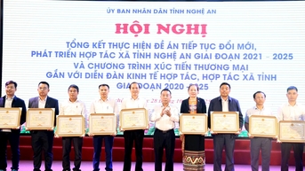Nghệ An: Gần 62% hợp tác xã hoạt động hiệu quả, gắn với xúc tiến thương mại