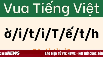 Chưa có 'cao nhân' ngôn ngữ nào dám thử sức với câu đố này