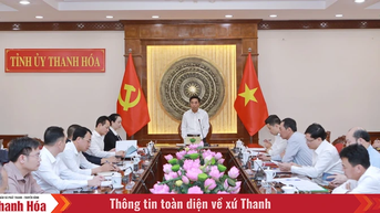 Thường trực Tỉnh ủy Thanh Hóa làm việc với Tổng Công ty Điện lực miền Bắc