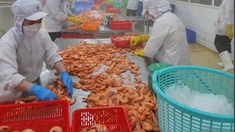 Kinh tế Việt Nam tăng trưởng nhanh nhất ASEAN