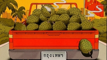 Hành trình trở thành sứ giả ngoại giao của 'vua các loại trái cây'