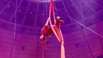 Xiếc Việt - Nhọc nhằn và khát vọng