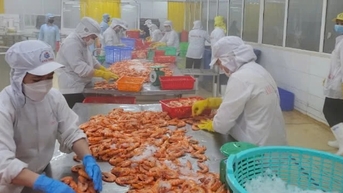 HSBC: Tăng trưởng nhanh nhất ASEAN, kinh tế Việt Nam "không ngừng sải bước"