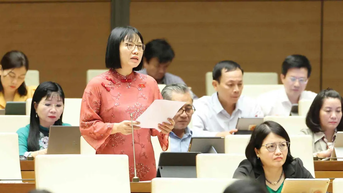 ĐBQH: Chúng ta vẫn chưa thực sự đầu tư tương xứng cho môi trường