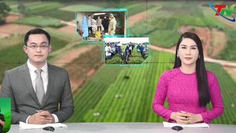 Thái Nguyên khẩn trương khôi phục sản xuất nông nghiệp sau mưa lũ lịch sử