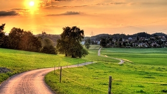 Về nhà - hành trình tuyệt vời của trái tim