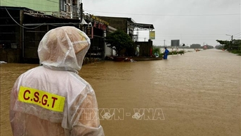 Các địa phương bị mưa lũ rà soát lại hệ thống đê để tu bổ đảm bảo an toàn