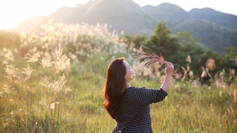 "Check in” mùa cỏ lau tại xã Lục Hồn