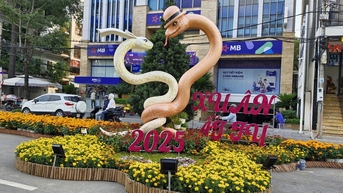 Can Tho បាញ់កាំជ្រួច និងសាងសង់ផ្លូវផ្កាសម្រាប់ឆ្នាំសេះ