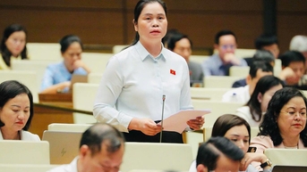 Phó Trưởng Đoàn đại biểu Quốc hội chuyên trách tỉnh Ma Thị Thúy: Cần tháo gỡ vướng mắc khi áp dụng Luật Bảo vệ môi trường tại miền núi