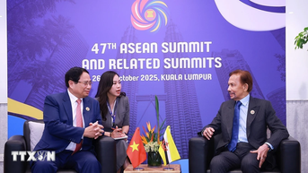 Việt Nam tăng cường hợp tác với các nước Brunei, Malaysia, Timor Leste