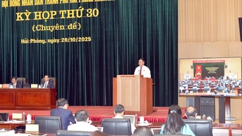 Hỗ trợ thù lao cho lao động ngoài biên chế tại các hội sau sắp xếp