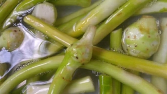 Canh ngó môn, món canh trong miền ký ức