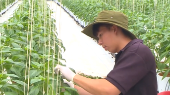 Đồng hành cùng nông dân phát triển nông nghiệp nông thôn bền vững