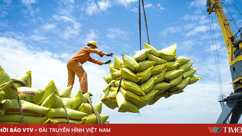 Việt Nam tiếp tục trong nhóm xuất khẩu gạo hàng đầu thế giới