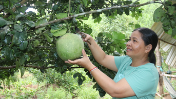 Gương sáng phụ nữ thi đua yêu nước