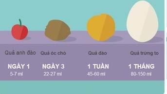 Bé 5 ngày tuổi thủng dạ dày vì ăn cơm: Lưu ý dinh dưỡng cho trẻ sơ sinh