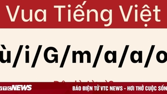 Câu đố khiến 'bậc thầy ngôn ngữ' cũng phải bối rối