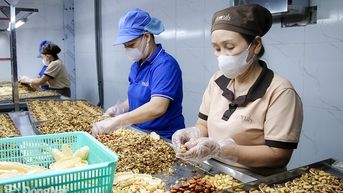 Sản phẩm địa phương vào mùa sản xuất hàng Tết