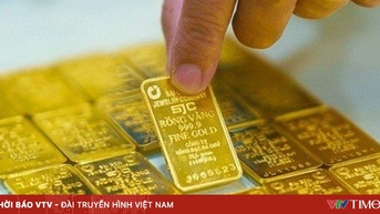 Những chính sách mới liên quan đến kinh tế có hiệu lực từ tháng 11/2025