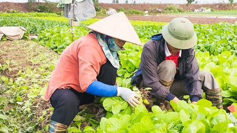 Nâng tầm nông sản bằng tư duy và công nghệ xanh