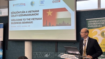 75 năm quan hệ Việt Nam - Hungary: Tăng cường kết nối và hợp tác doanh nghiệp